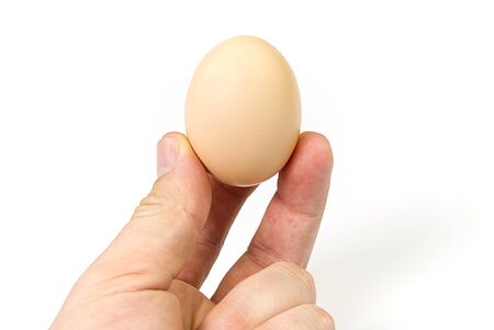 mens hand with chicken egg isolated over white.