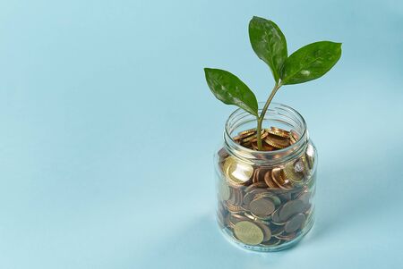coins in a glass jar. money growth investment concept. Saving money and caring for the good...