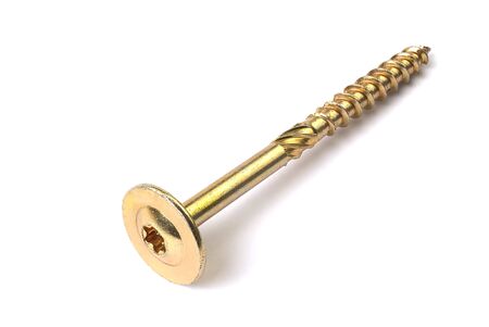 Torx screw on white background close up. Gold yellow screw for wood, chipboard or plywood with big torx head tx40.の写真素材