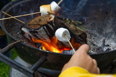 cooking marshmallow on wooden stick over fire.