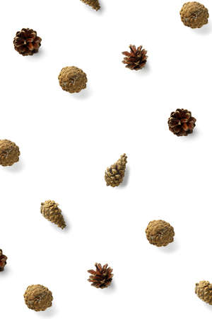 Creative Pine cone Christmas background on white. Pine branches and cones. minimal creative cone...