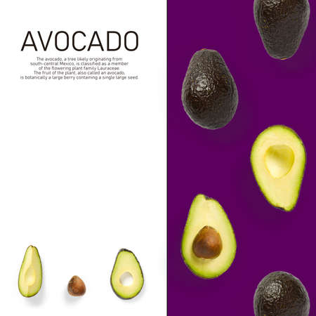 Modern creative avocado collage with simple text on solid color background. Avocado slices creative...