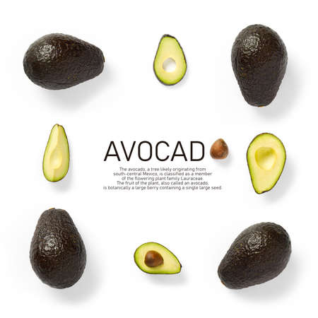 Modern creative avocado collage with simple text on solid color background. Avocado slices creative...
