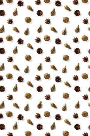 Creative Pine cone Christmas background on white. Pine branches and cones. minimal creative cone...