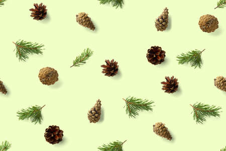 seamless christmas pattern from Pine cones, needles on green background. modern pine cone christmas collage. Print for paper, fabric, wallpaper or background made frome pinecones.の写真素材