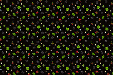 Creative set of wild berries, blackberry, blueberry, lingonberry and bramble. modern background on...