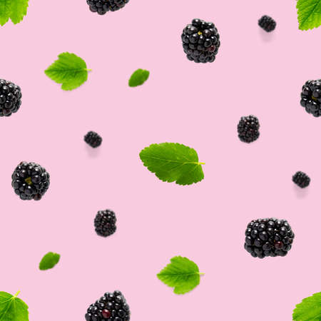 Falling Bramble Seamless pattern. Fresh Falling blackberry seamless pattern. Square pattern with fresh wild berries isolated on pink background. flat lay.の写真素材