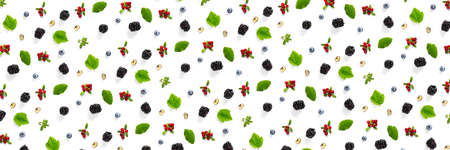 Creative set of wild berries, blackberry, blueberry, lingonberry and bramble. modern banner background on white backdrop made from autumn forest wild berries. Forest berries mixの写真素材