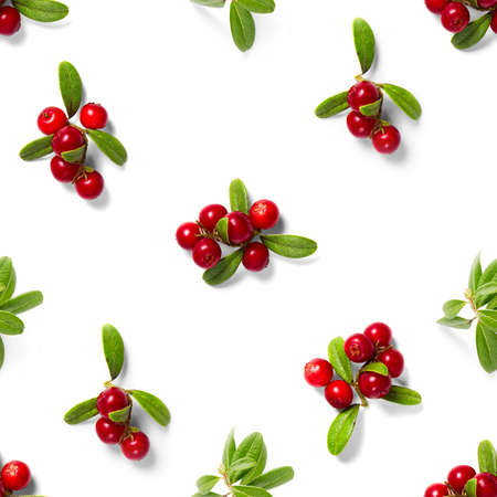 Lingonberry seamless pattern on white background. Fresh cowberries or cranberries with leaves as seamless pattern for textile, fabric, print or postersの写真素材