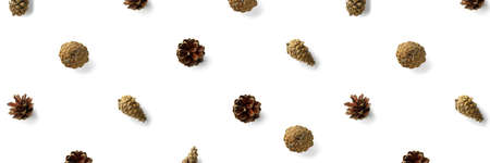 Creative Pine cone Christmas background on white. Pine branches and cones. minimal creative cone...