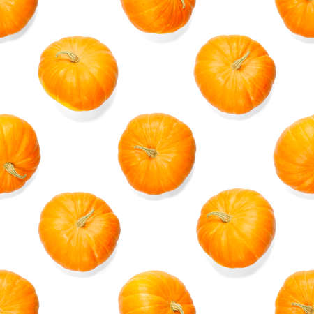 Seamless pattern with pumpkin. Pumpkin quality pattern. Autumn abstract seamless pattern made from Pumpkins on the white background.の写真素材