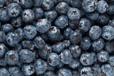Organic blueberry background. Fresh Bilberries. Background from freshly picked blueberries. Close-up background.の写真素材