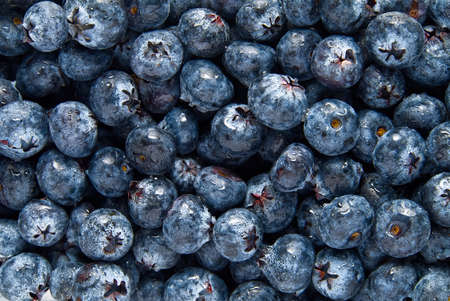 Organic blueberry background. Fresh Bilberries. Background from freshly picked blueberries. Close-up background.の写真素材