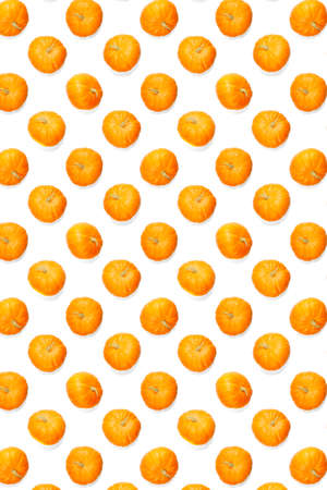 Autumn background made frem pumpkin. . Thanksgiving or halloween background Background of orange miniature pumpkins.の写真素材