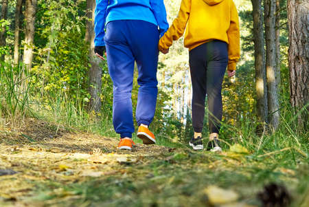 Mother with daughter hiking in autumn pine forest. Mom with daughter walking in nature on the forest road holding hands.の写真素材