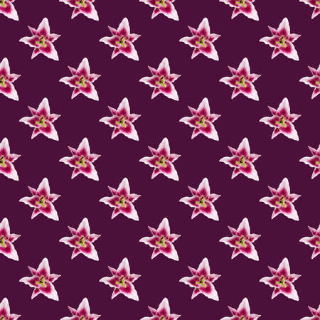 seamless pattern of pink Lily flower bloom. Pink lily flowers over pink background seamless texture. flat lay flower patternの写真素材