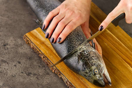Cutting salmon fresh fish for dinner. diy cooking at home