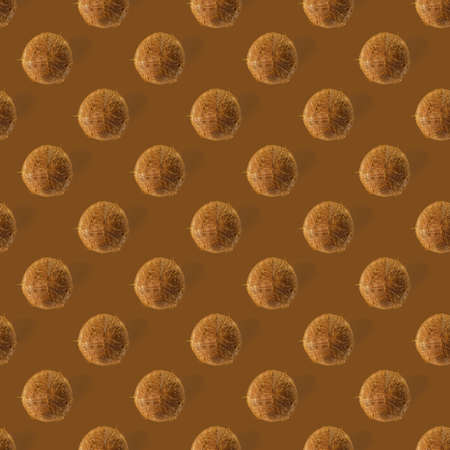 coconut Seamless pattern. Tropical abstract background with isolated Coconut on brown background....