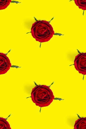 rosebud seamless pattern. head of rose bloom isolated on yellow pattern, pop artの写真素材