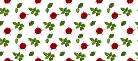 rosebud banner. head of rose bloom isolated on white not seamless pattern, pop artの写真素材