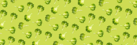 Pop art from lettuce green leaves salad.