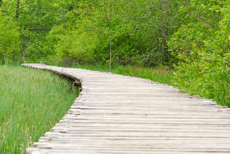 View of wooden deck among tall green grass with rock behind and bushes in Plitvice Lakes National Park in Croatia. lifestyle, walking in park, healthy vacation. wallpaper, postcardの写真素材
