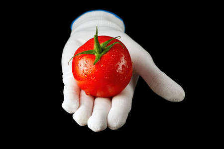 Fine fresh ripe red tomatoes held by a hand in white glove on black background. isolated on blackの写真素材