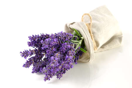 Aromatic Lavender flowers bundle on a white background. Isolated morning Lavender flowers close-upの写真素材