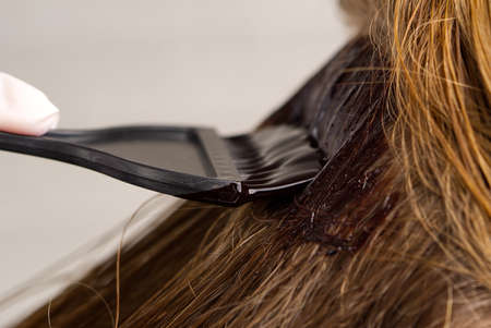 The hairdresser paints the womans hair in a dark color, apply the paint to her hair. Getting beauty procedures. Barber hair dye is applied with a brushの写真素材