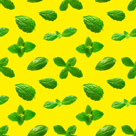Seamless pattern of fresh mint leaves on yellow background for packaging design. peppermint abstract background.の写真素材