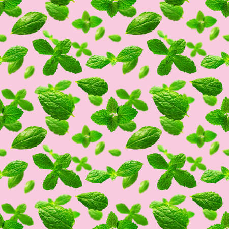 Seamless pattern of fresh mint leaves on pink background for packaging design. peppermint abstract background.の写真素材