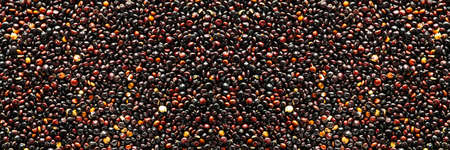 Chenopodium quinoa textured background of grains. Black Quinoa closeup of seed. bannerの写真素材