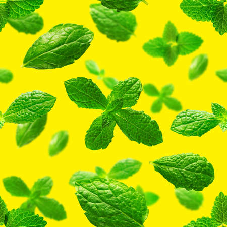 Seamless pattern of fresh mint leaves on yellow background for packaging design. peppermint abstract...
