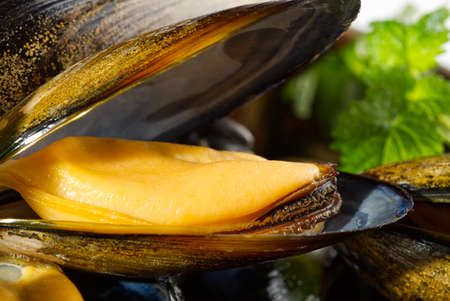Mussels in sauce. Shellfish dish. Seafood dishes. Fresh Mussels.