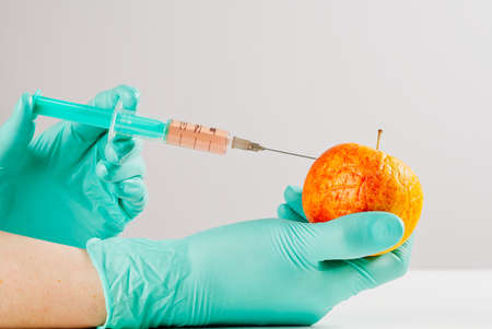 A hand in a medical glove inserts a syringe into apple. Harmful food additives. GMOs Concept....