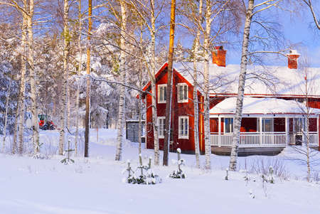 Nordic winter landscape. Panoramic view of the covered with frost trees in the snowdrifts. Magical winter forest. Natural landscape with beautiful sky.の写真素材