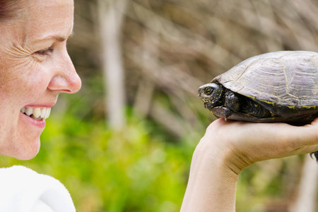 Women hold European turtle, close up portrait. Happy women at the turtle sanctuary hatchery.の写真素材