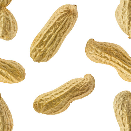 Seamless pattern of Peanuts isolated on white background. Seamless, pattern