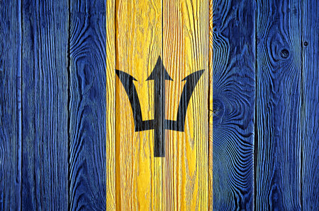 Barbados flag painted on old wood plank background. Brushed natural light knotted wooden board texture. Wooden texture background flag of Barbados.の写真素材