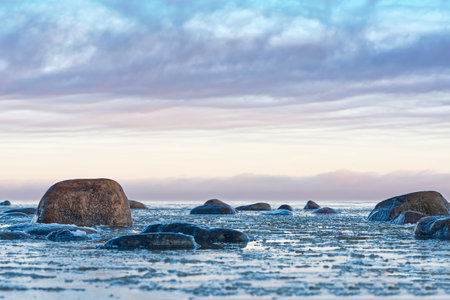 Panoramic view of the snow-covered shore of the Baltic sea at sunset. Ice fragments at sea close-up.の写真素材