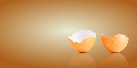 Egg shell isolated on white. Broken egg shell isolated on brown