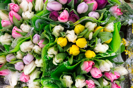 Tulips bouquet. Present for March 8, International Women Day, Mother days Holiday decor with flowers