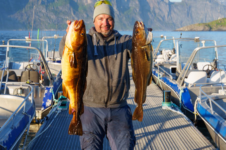 Fisherman with big cod fish. Norwegian fisherman has caught large Cod in Norwegian Fjord islands