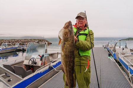 Fisherman holding a huge fish Cod. Norway Fishing tourism. Senior fisherman in ocean, fjord fishing.