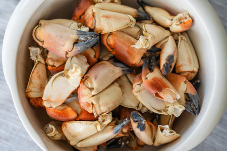 Stone crab claws. Colossal Crab claws served. Classic appetizer or entree, boiled Crab clawsの写真素材