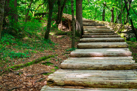 walking trails in Plitvice Lakes National Park in Croatia, enjoying nature, beautiful forest