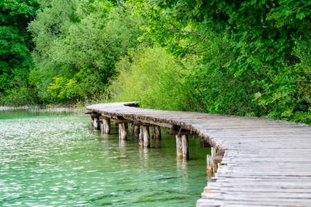 walking trails in Plitvice Lakes National Park in Croatia, enjoying nature, beautiful forestの写真素材