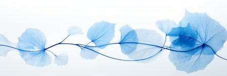 Botanical masterpiece delicate skeletonized white leaf on light blue background with bokehの素材