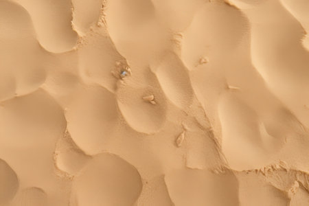 Fine beach sand in the summer sun   tranquil coastal scene with soft sandy shore and clear blue skyの素材