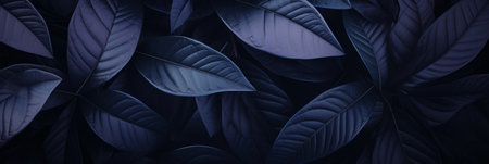 Abstract black leaf textures for tropical leaf background   flat lay, dark nature conceptの素材